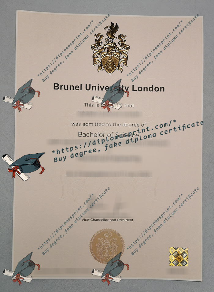 Brunel University of London Degree