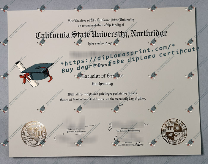 CSUN Diploma