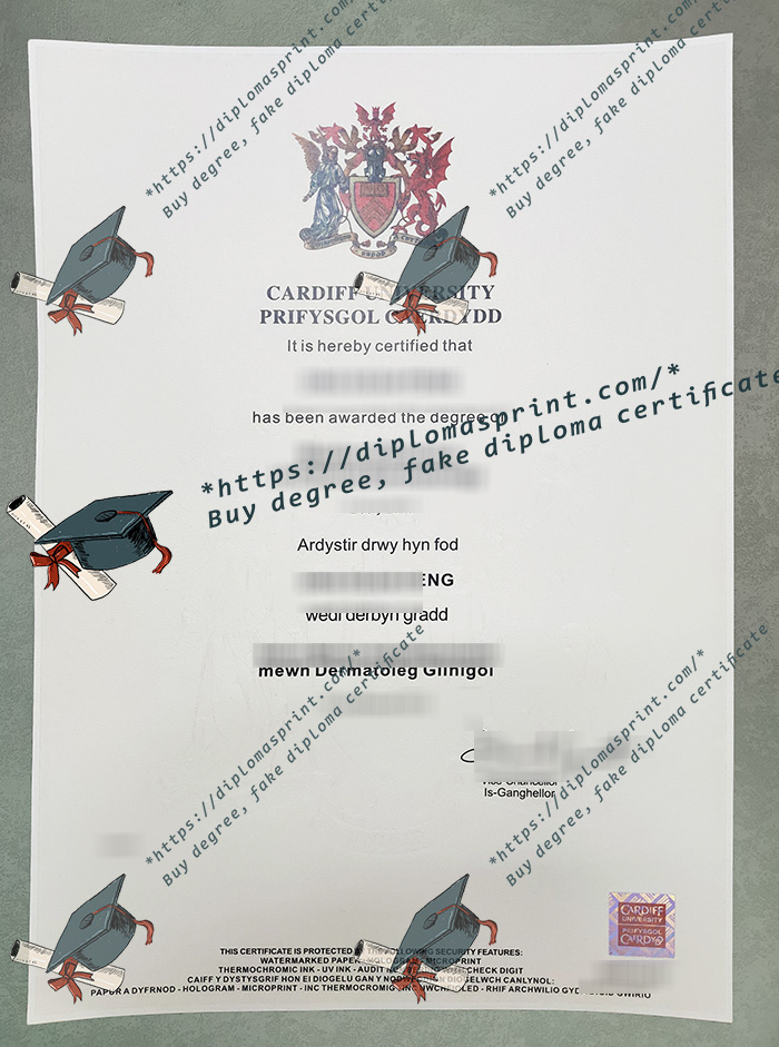 Cardiff University Degree