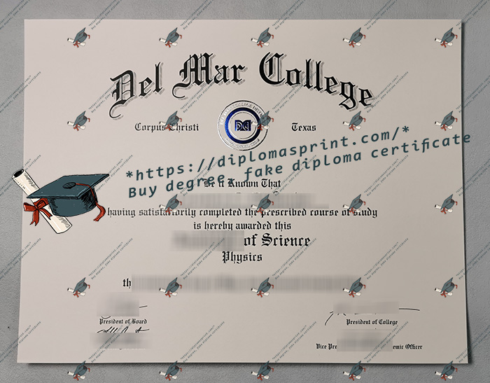 DMC Diploma