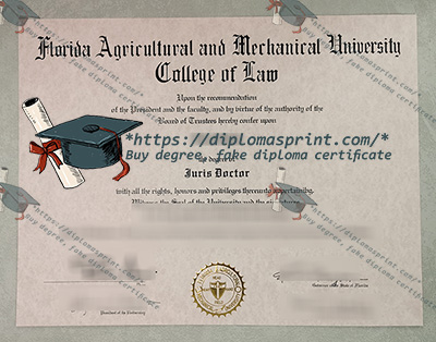 FAMU Diploma