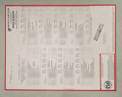 MSU Transcript