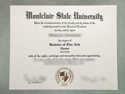 MSU Diploma