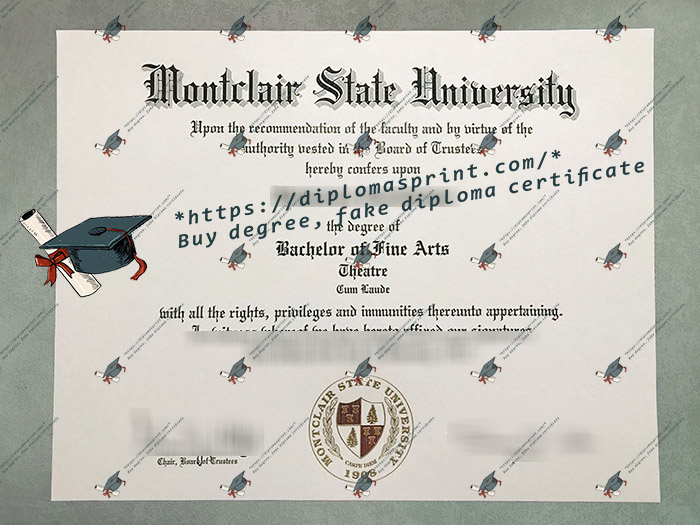 MSU Diploma