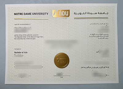 NDU Diploma