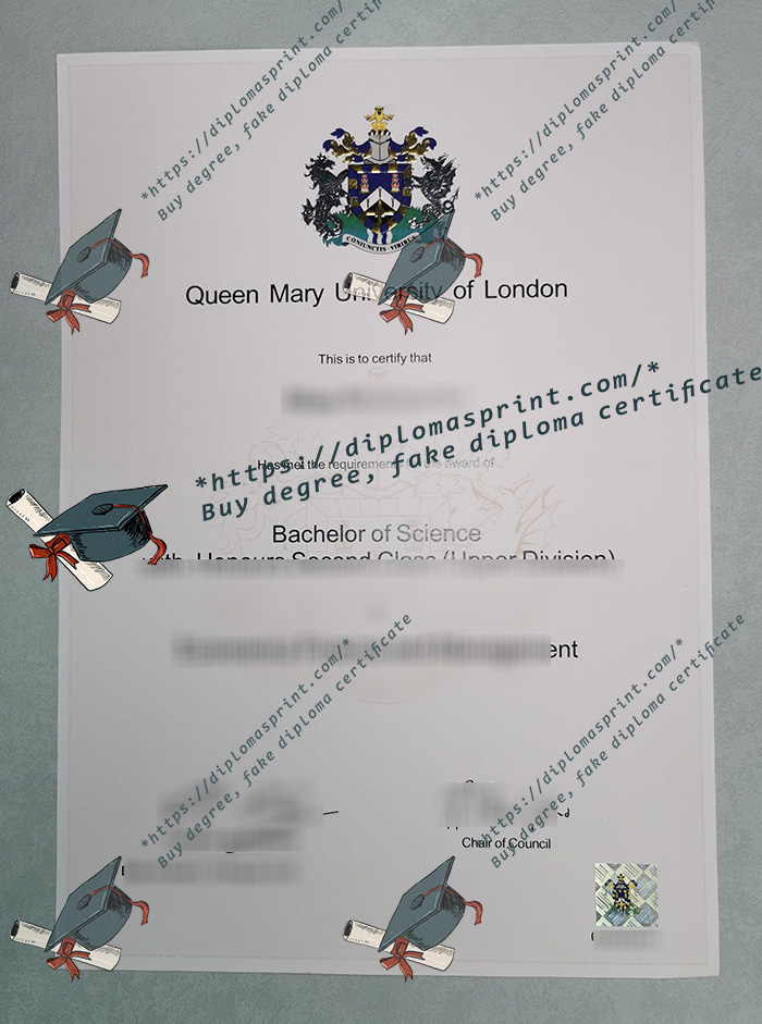 QMUL Degree