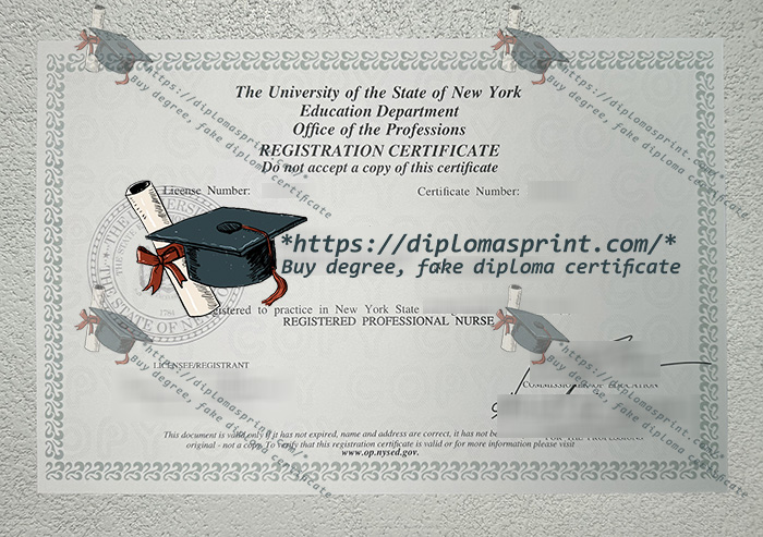 Registered Professional Nurse Registration Certificate