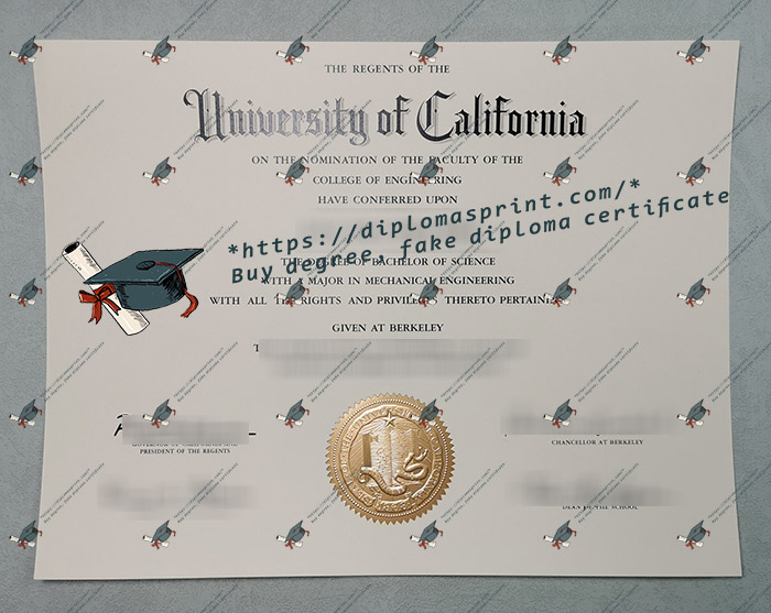 UCB Diploma