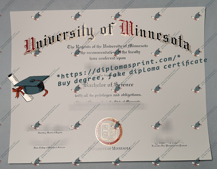 University of Minnesota Diploma