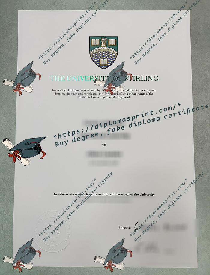 University of Stirling Degree