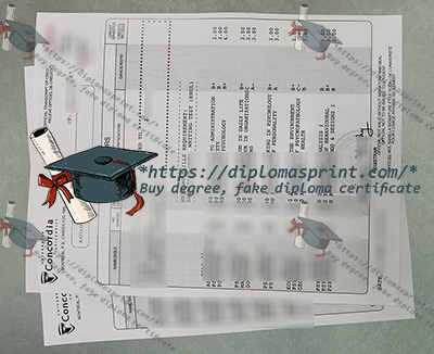 Université Concordia Transcript