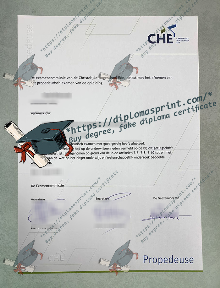 Christelijke Hogeschool Ede Diploma, CHE Diploma