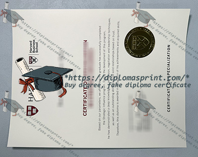 Harvard Business School Diploma