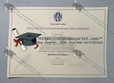 Universiteit Leiden Diploma