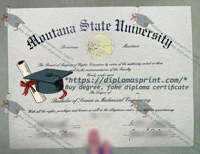 Montana State University Diploma, MSU Diploma