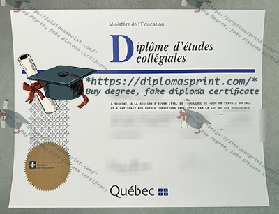 Ontario Secondary School Diploma