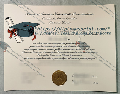 Princeton University Diploma