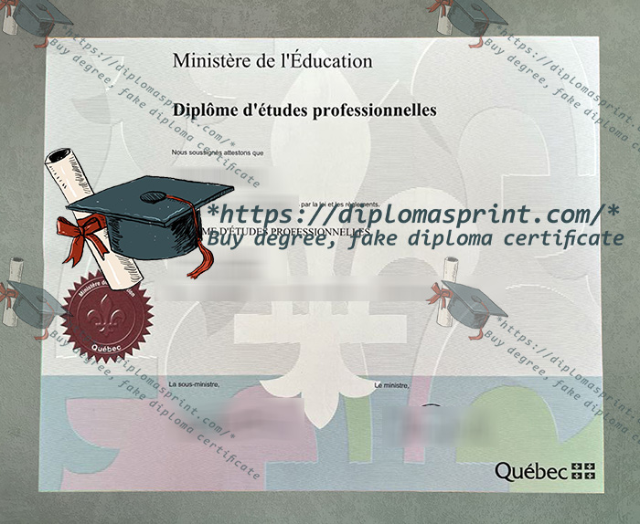 Quebec Diploma of College Studies