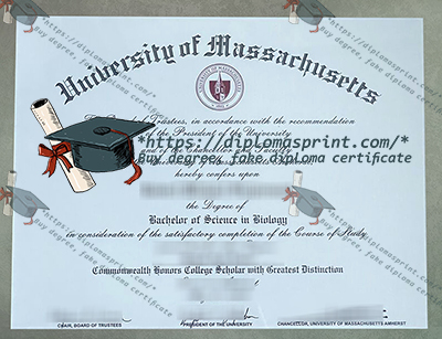 UMass Amherst Diploma