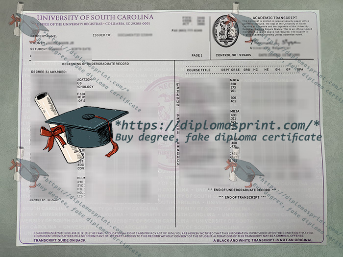 University of South Carolina Transcript