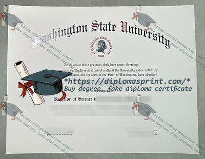 Washington State University Diploma