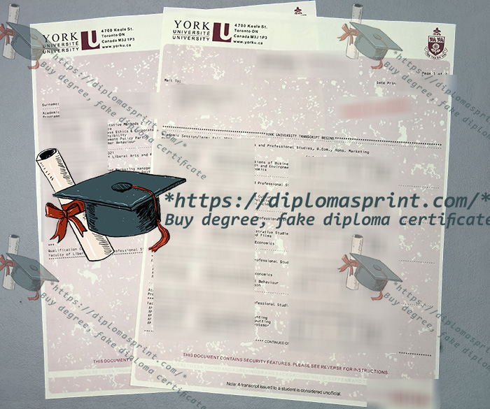 York University Transcript