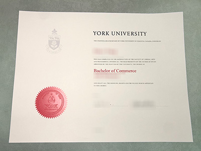 York University Diploma