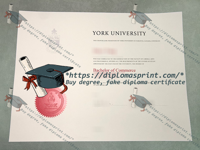 York University Diploma, Université York Diploma