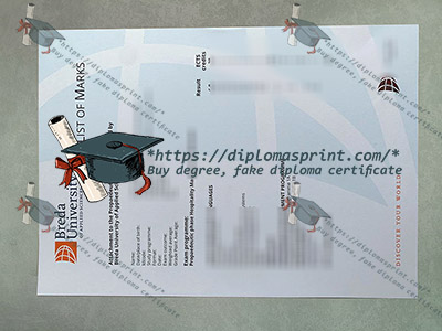 Breda University of Applied Sciences Transcript