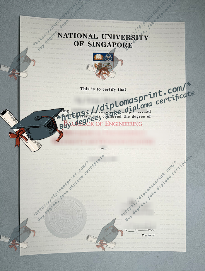 National University of Singapore Diploma, NUS Diploma