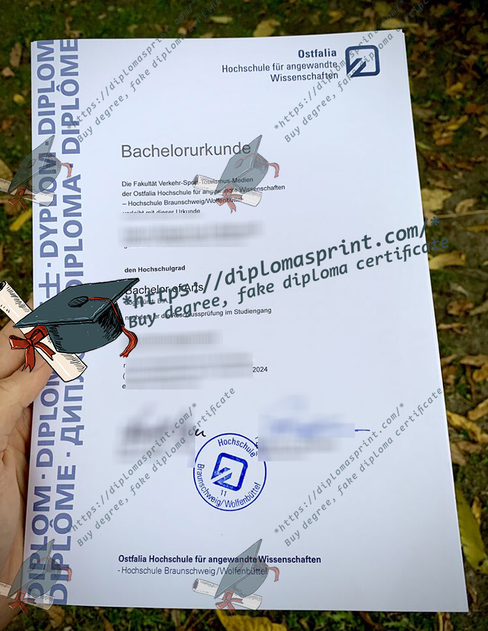 Ostfalia Hochschule für angewandte Wissenschaften Urkunde