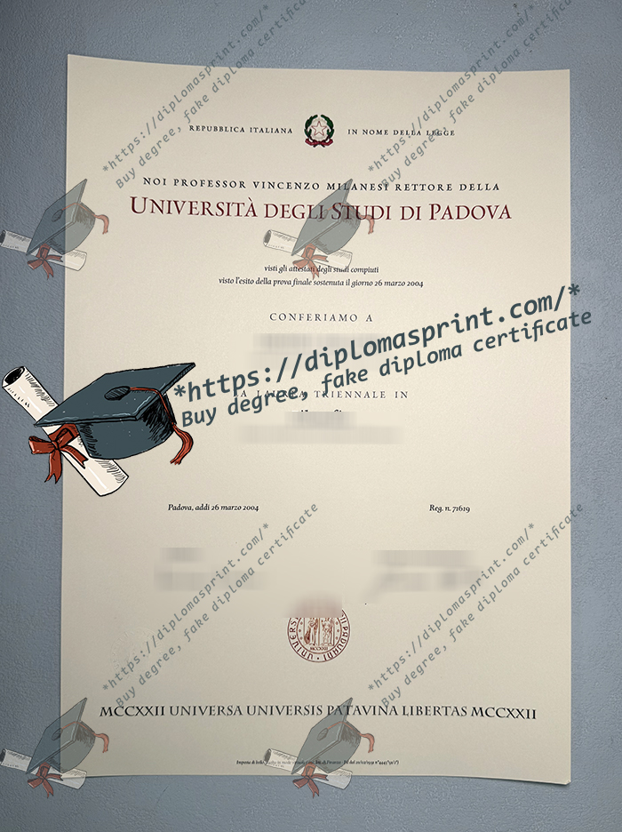 Università degli Studi di Padova Diploma, UniPd Diploma