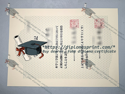 University of Tokyo Diploma