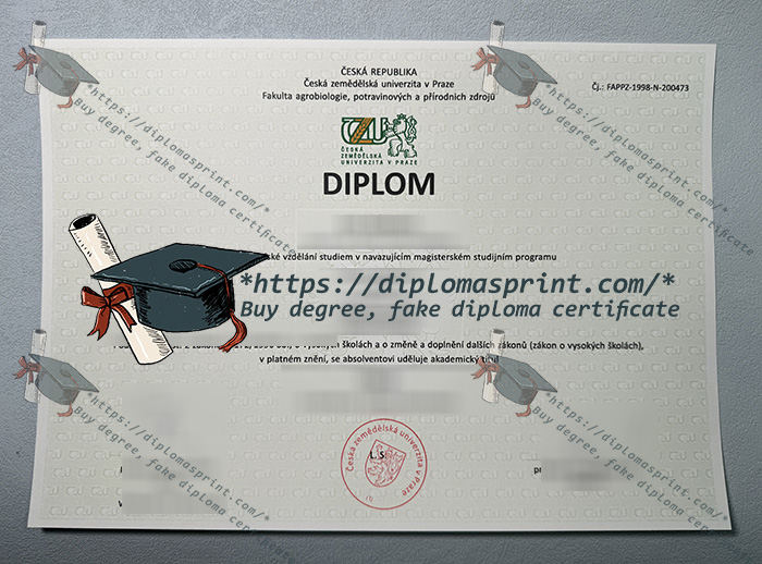 ČZU Diploma