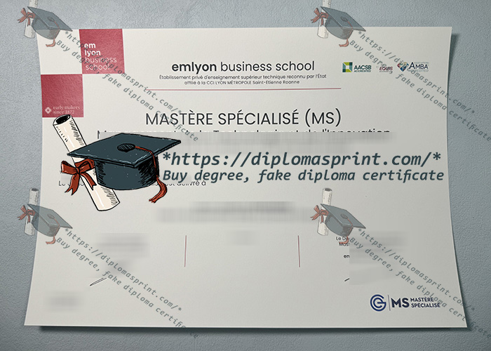 EM Lyon Business School Diploma