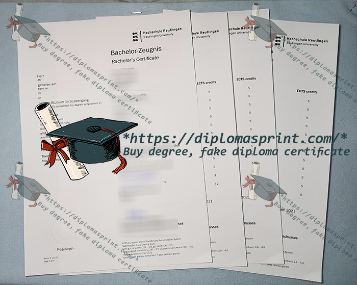 Hochschule Reutlingen Zeugnis, Reutlingen University Transcript