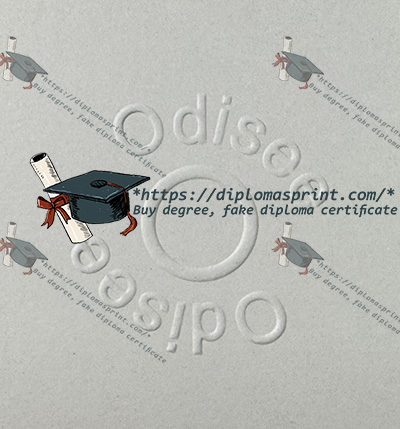 Odisee Hogeschool Diploma seal