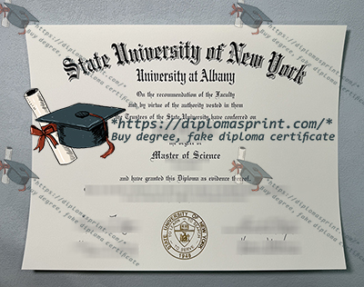 SUNY Albany Diploma