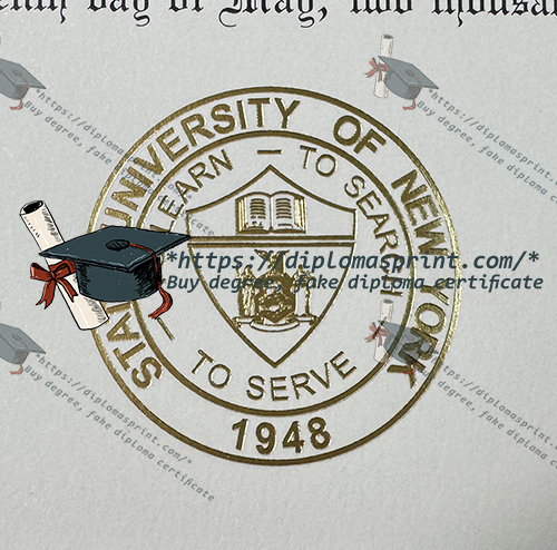 SUNY Albany Diploma seal