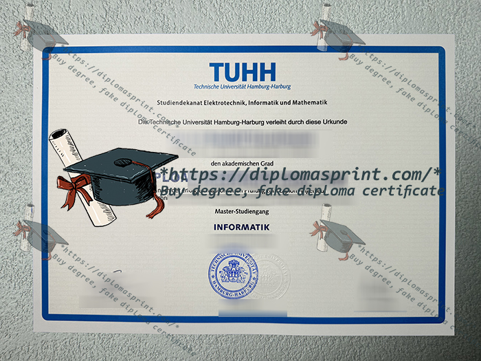 Hamburg University of Technology Diploma, TUHH Urkunde