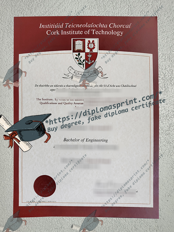 Cork Institute of Technology Diploma, CIT Diploma