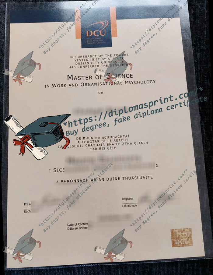 Dublin City University Diploma, DCU Diploma