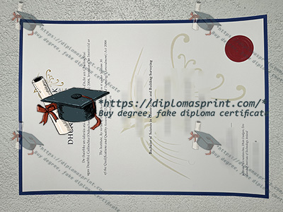 DKIT Diploma