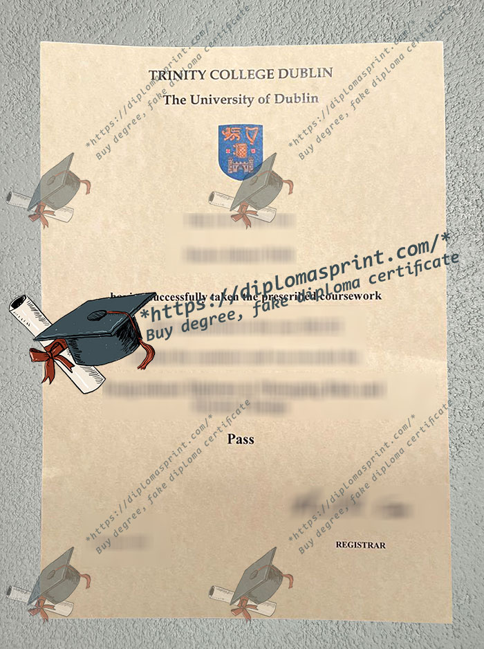 Trinity College Dublin Diploma, TCD Diploma