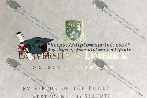 University of Limerick Diploma