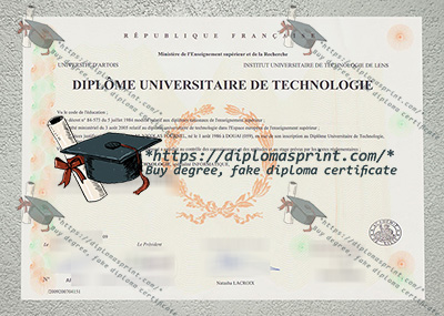 Université D'Artois Diploma