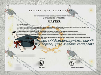 Université Aix-Marseille-III Diploma