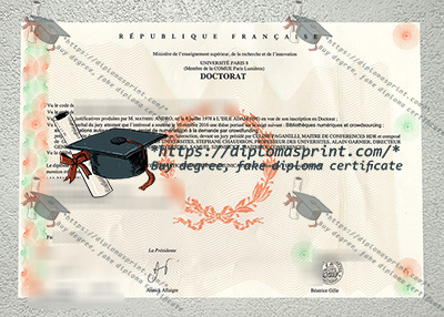Université Paris VIII Diplôme