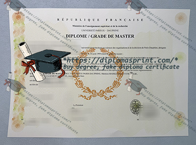 Université Paris Dauphine - PSL Diploma