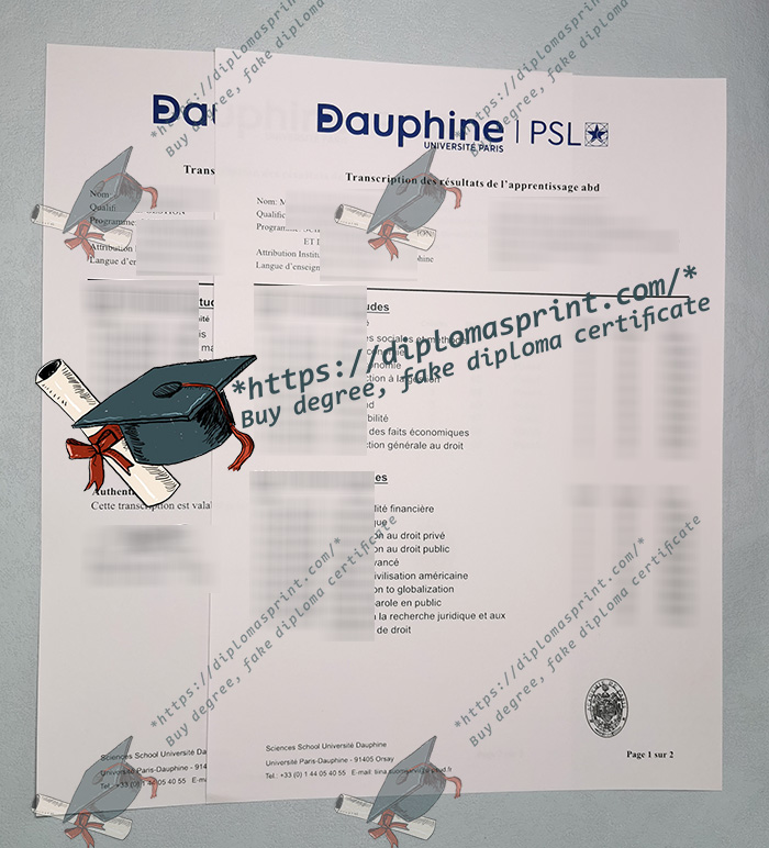 Université Paris Dauphine - PSL Transcript